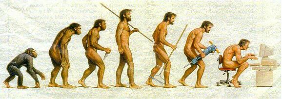 Die Evolution